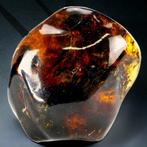 Mexicaanse Amber - Chiapas - Neogeen, Mioceen (23,03 - 5,33