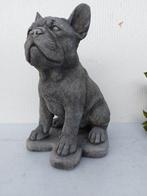 Statue, groot beeld met pub Franse buldog - 29 cm - pierre