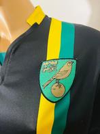 Norwich City - Championnat dAngleterre de Football - 2016 -