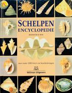 Schelpen encyclopedie 9789059200494 K.R. Wye, Boeken, Verzenden, Zo goed als nieuw, K.R. Wye