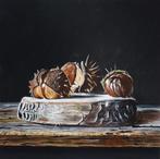 Jan Teunissen - Boomschijf met wilde Kastanjes in bolster