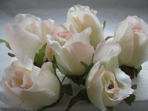Roosjes 5-6cm. zijde best quality champagne-roze 2tone 10 st, Huis en Inrichting, Woonaccessoires | Kunstplanten en Kunstbloemen