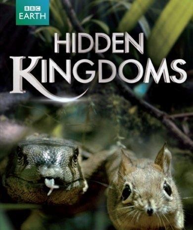 Hidden kingdoms op DVD, CD & DVD, DVD | Documentaires & Films pédagogiques, Envoi