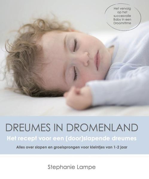 Dreumes in dromenland 9789490023034, Boeken, Zwangerschap en Opvoeding, Gelezen, Verzenden