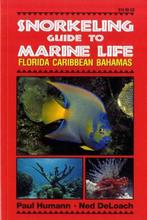 Snorkeling Guide to Marine Life 9781878348104 Paul Humann, Boeken, Verzenden, Gelezen, Paul Humann