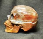 Sans prix de réserve - Crâne humain sculpté dans du cristal, Collections, Minéraux & Fossiles