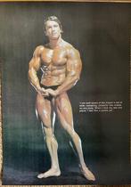 A.S. - Arnold Schwarzenegger - original poster - terminator,