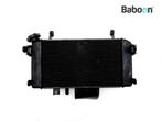 Radiateur Suzuki SFV 650 Gladius (SFV650), Motoren, Verzenden, Gebruikt