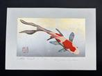 Little Comet 3 Fortune Carp Koi fish - Limited 173/200 -