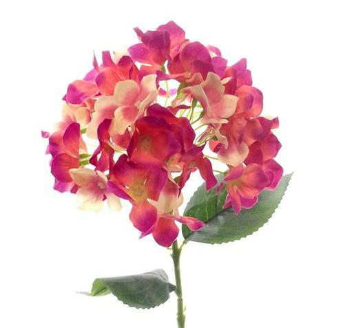 Hortensia 45cm. SINGLE HYDRANGEA BEAUTY Hortensia, Maison & Meubles, Accessoires pour la Maison | Plantes & Fleurs artificielles