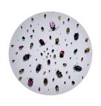 Pablo Fernandez Pujol (Winner of the Paul Ricard Artprice) -, Antiek en Kunst