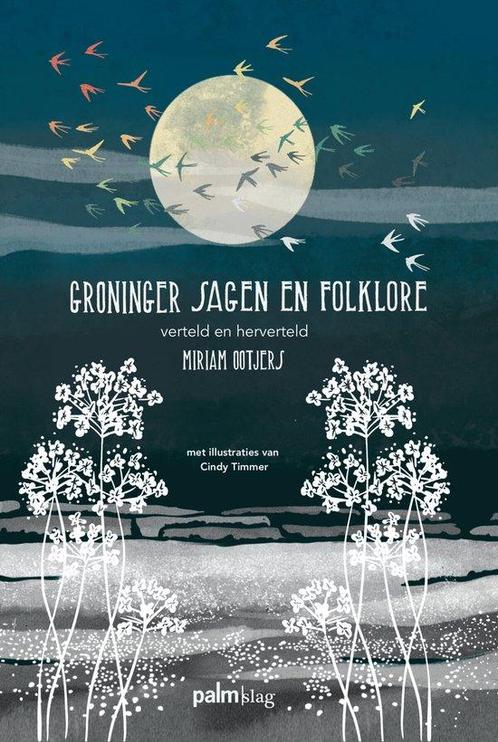 Groninger sagen en folklore 9789493245976, Boeken, Overige Boeken, Zo goed als nieuw, Verzenden