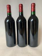 1994 Château Lagrange - Les Fiefs de Lagrange - Bordeaux,, Verzamelen, Wijnen, Nieuw