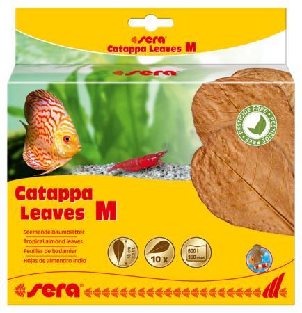 Sera Catappa Leaves Medium 10 stuks (Waterverzorging), Dieren en Toebehoren, Vissen | Aquaria en Toebehoren, Overige typen, Nieuw