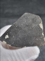 Mogelijk waargenomen valfragment - Hammadah al Hamra 346, Collections