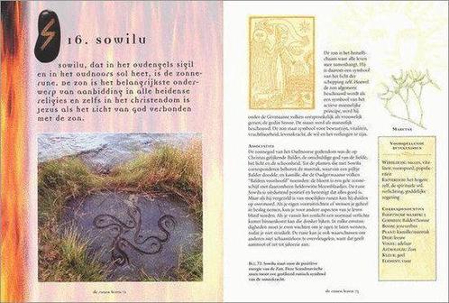 Runentekens Pap 9789057645419, Boeken, Esoterie en Spiritualiteit, Gelezen, Verzenden