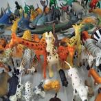 Collectie met dierenthema - Van de savanne tot de Dinos.