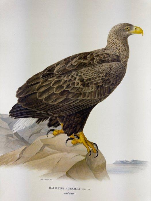 von Wright - Haliaetus albicilla, Verzamelen, Dierenverzamelingen