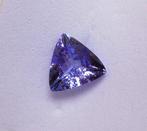 Tanzanite - 1.61 ct - Instituto Gemólogico Español (IGE), Nieuw