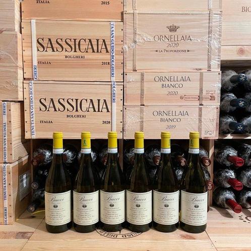 2023 Villa Bucci, Verdicchio Classico dei Castelli di Jesi -, Verzamelen, Wijnen