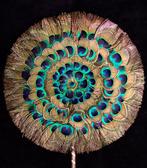 Waaier van pauwenveren Taxidermie wandmontage - Pavo, Nieuw