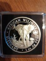 Somalië. 100 Shillings 2025 (Zonder minimumprijs)