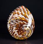 Grand cuivre poli Midas ormeau Coquillage marin - Haliotis, Nieuw