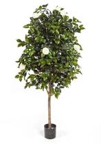 Kunstplant Camelia Wit 170 cm, Verzenden