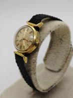 Omega - mecanic-women - Zonder Minimumprijs - 511.00185 -