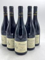 2022 Bourgogne Pinot Noir  - Domaine Moutard - Bourgogne - 6