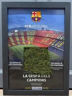 FC Barcelona - Lionel Messi - 2012 - Gras, Camp Nou, Nieuw