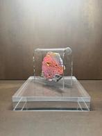 Relikwie - beton - 1960-1970 - De Berlijnse Muur