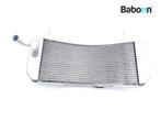 Radiateur Yamaha XP 530 T-Max 2017-2019 (XP530 TMAX), Motoren, Onderdelen | Yamaha, Verzenden, Gebruikt