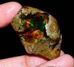 Zeldzame vuuropaal van 62 ct Ruw- 12.4 g