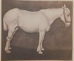 Jan Mankes (1889-1920) - Paard
