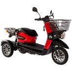 Rolektro E-Carrier V.3 Scootmobiel, Diversen, Brommobielen en Scootmobielen, Overige merken, Nieuw, Ophalen of Verzenden, 16 km/u of meer