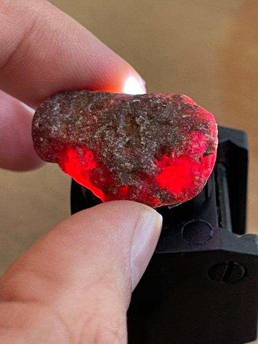 Rubis Brut. Magnifique rubis de sang massif du Mozambique., Verzamelen, Mineralen en Fossielen