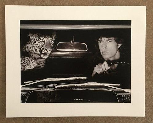 Albert Watson - Mick Jagger in auto con il leopardo, Los, Antiek en Kunst, Kunst | Schilderijen | Modern