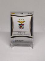 Panini Select Joao Neves S-JN Gesigneerde kaart, Insert card, Verzamelen, Nieuw