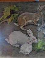 Lapins - Schoolposter met insecten - Schoolkaart - Canvas,, Antiek en Kunst