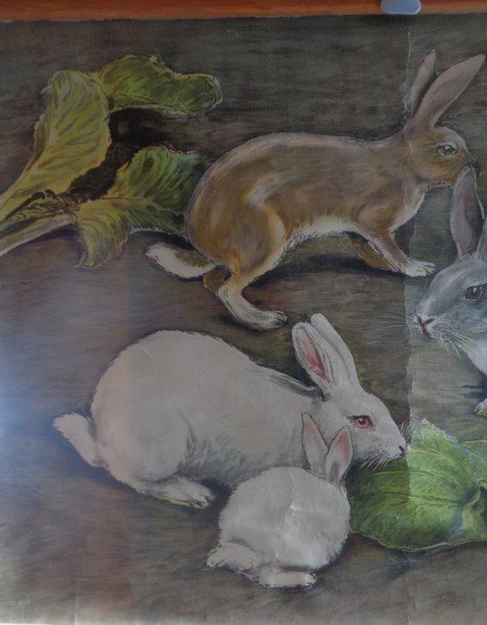 Lapins - Schoolposter met insecten - Schoolkaart - Canvas,, Antiek en Kunst, Curiosa en Brocante