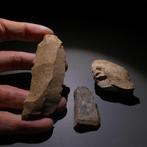 Neolithisch 3 vuurstenen. 8,5 cm L. Mes - 5000 v.Chr. Bijl