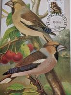 België 1985/2003 - Vogels van A. Buzin, Timbres & Monnaies