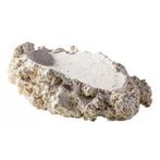 ARKA Tridacna Holder L, Verzenden, Nieuw