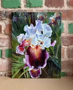 Alexander Nakonechny (1971) - Gorgeous iris