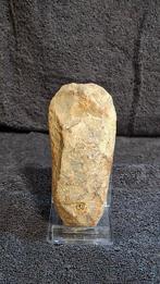 Neolithisch Steengoed gepolijste biface-bijl uit het