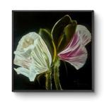 Sonja Brzak - Buds II