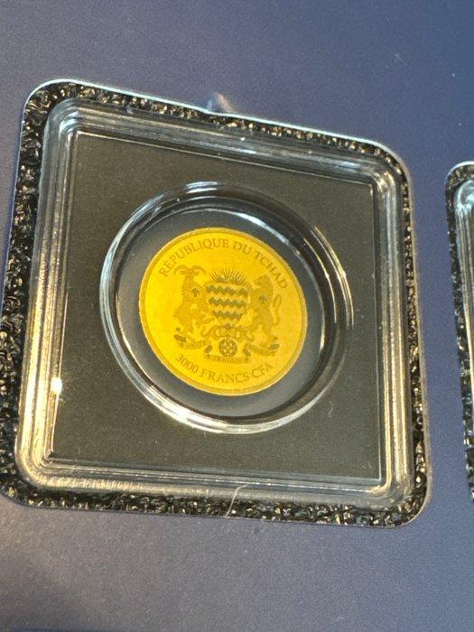 Tsjaad. 3000 Francs Haussperling- 1/1000 (.999) mit CoA, Postzegels en Munten, Munten | Europa | Niet-Euromunten