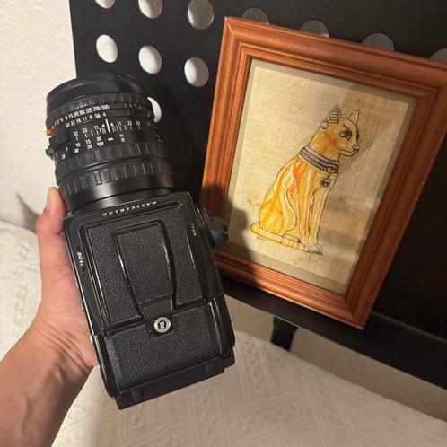 Hasselblad 501C + CFi 4/150 T* + A12 + Acute Matte 120 /, Audio, Tv en Foto, Fotocamera's Analoog