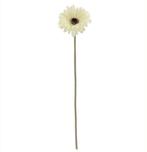 Gerbera 53 cm Creme Zijden bloemen / st, Huis en Inrichting, Nieuw